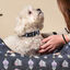 Disney Premium Vilãs Coleira para cães, , large Indicador imagem número 4