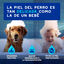 Ceva Douxo Spa Limpador de Ouvidos para cães, , large Indicador imagem número 5