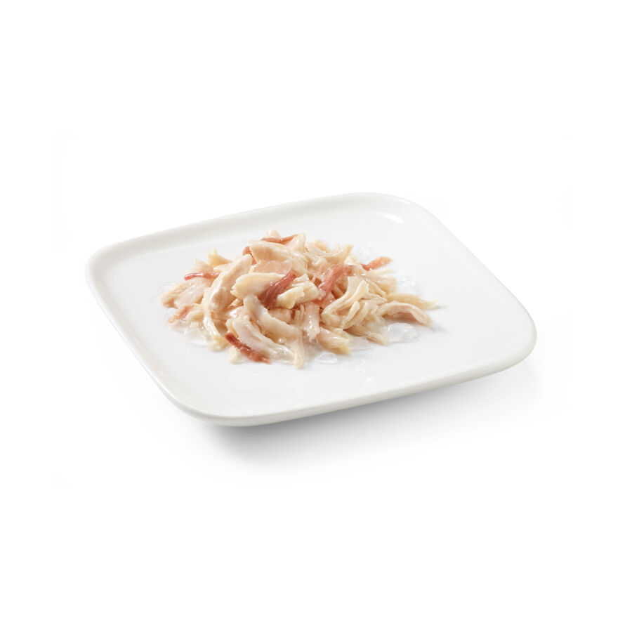 150 g Schesir Adult Atum em Gelatina em lata para c&atilde;es, , large Imagem n&uacute;mero 2