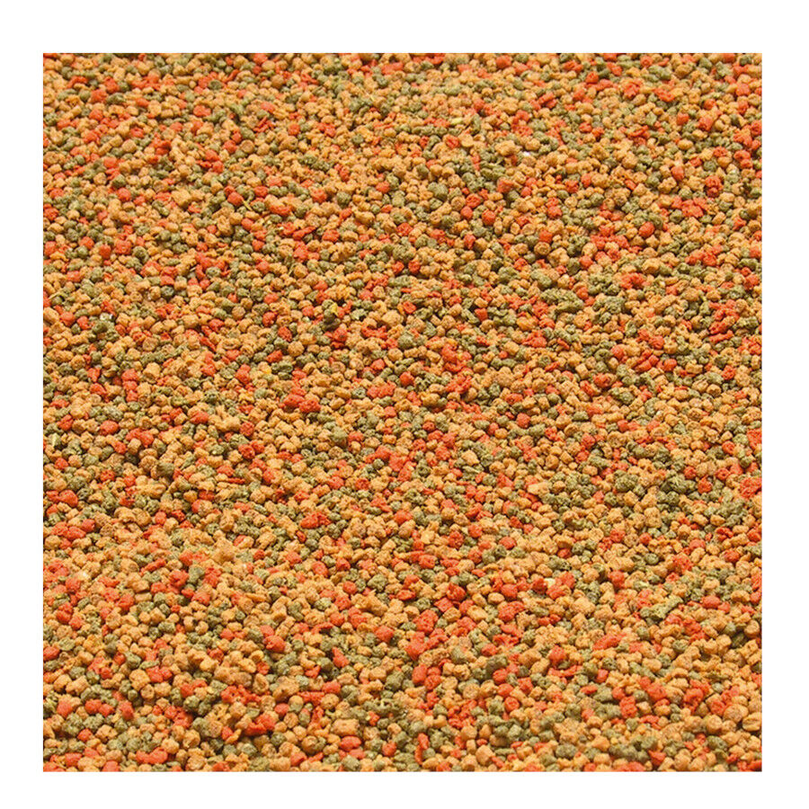 JBL Novo GranoMix Granulado para Peixes de &Aacute;gua Doce, , large Imagem n&uacute;mero 2