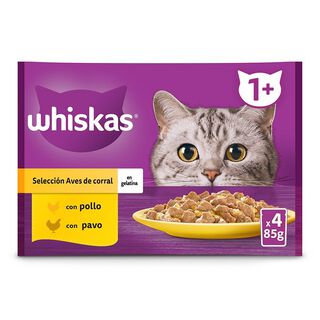 Whiskas Sabor Aves Geleia em Saqueta para Gatos - Multipack 