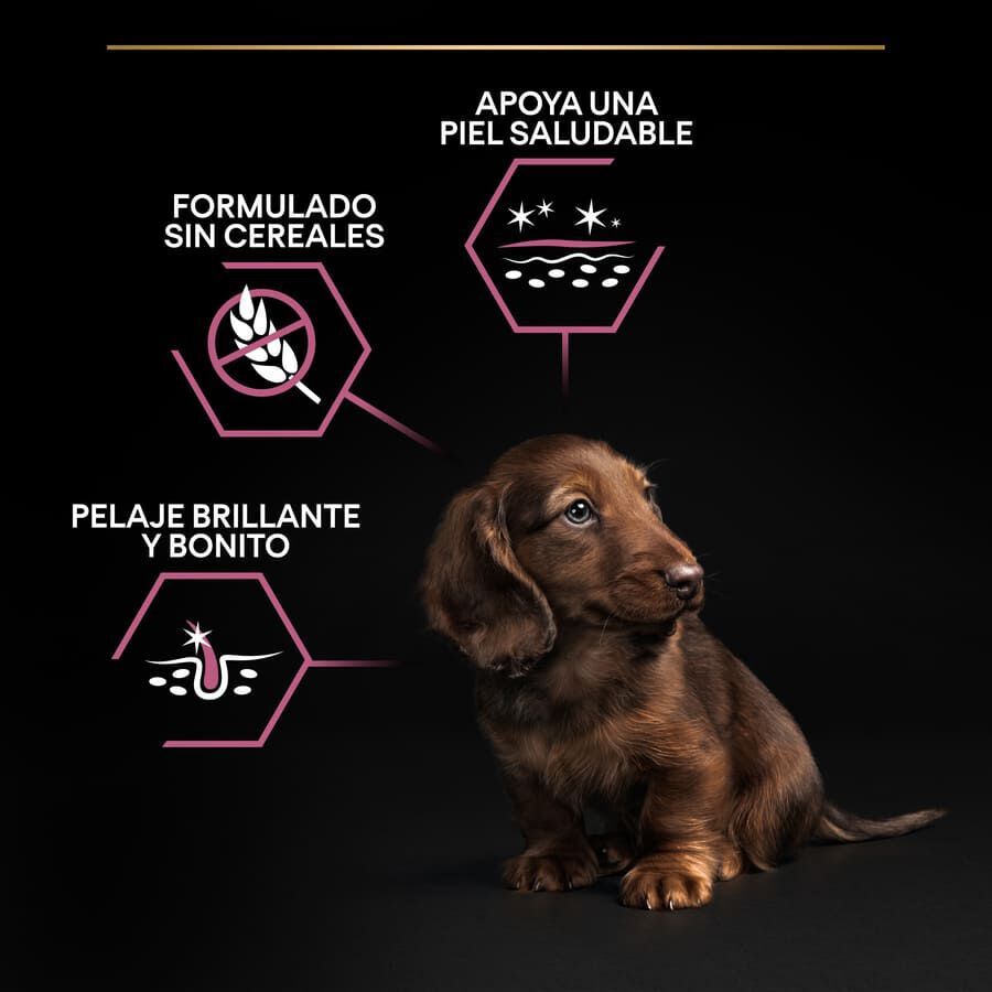 3 kg Pro Plan Puppy Small & Mini OptiDerma Salm&atilde;o ra&ccedil;&atilde;o, , large Imagem n&uacute;mero 3