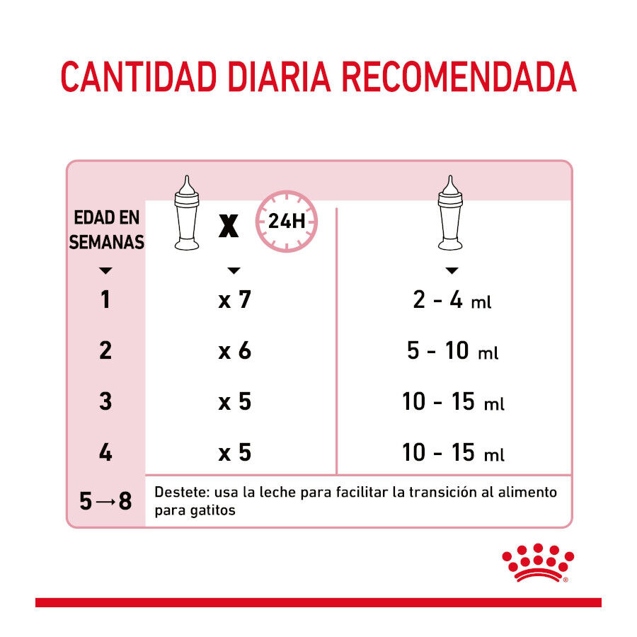 300 g Royal Canin Leite para gatinhos primeiro ano, , large Imagem n&uacute;mero 8