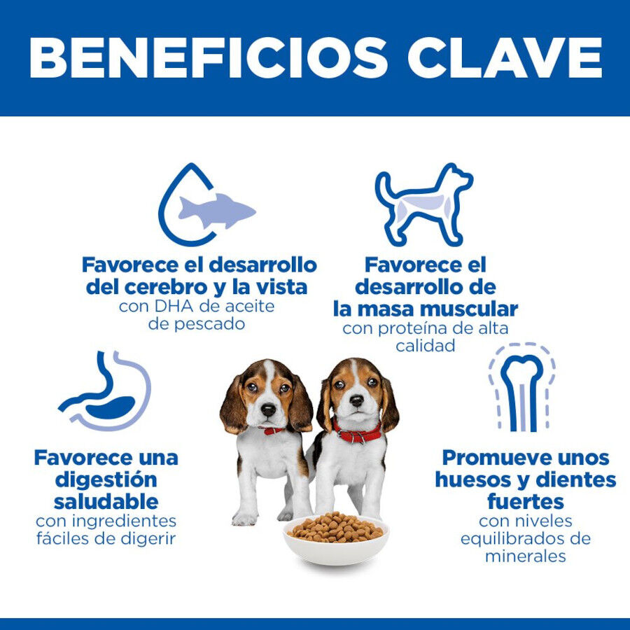 14 kg Hill's Science Plan Puppy Medium Ra&ccedil;&atilde;o de cordeiro e arroz para c&atilde;es, , large Imagem n&uacute;mero 5