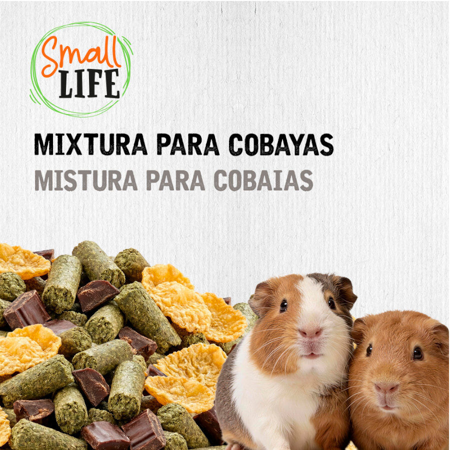 3.3 kg Small Life Mixtura Cubos para Porquinhos da &Iacute;ndia, , large Imagem n&uacute;mero 4