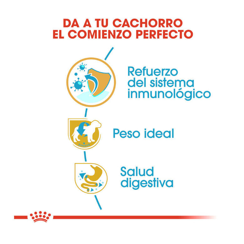 1.5 kg Royal Canin Puppy Miniature Schnauzer ra&ccedil;&atilde;o para c&atilde;es , , large Imagem n&uacute;mero 7