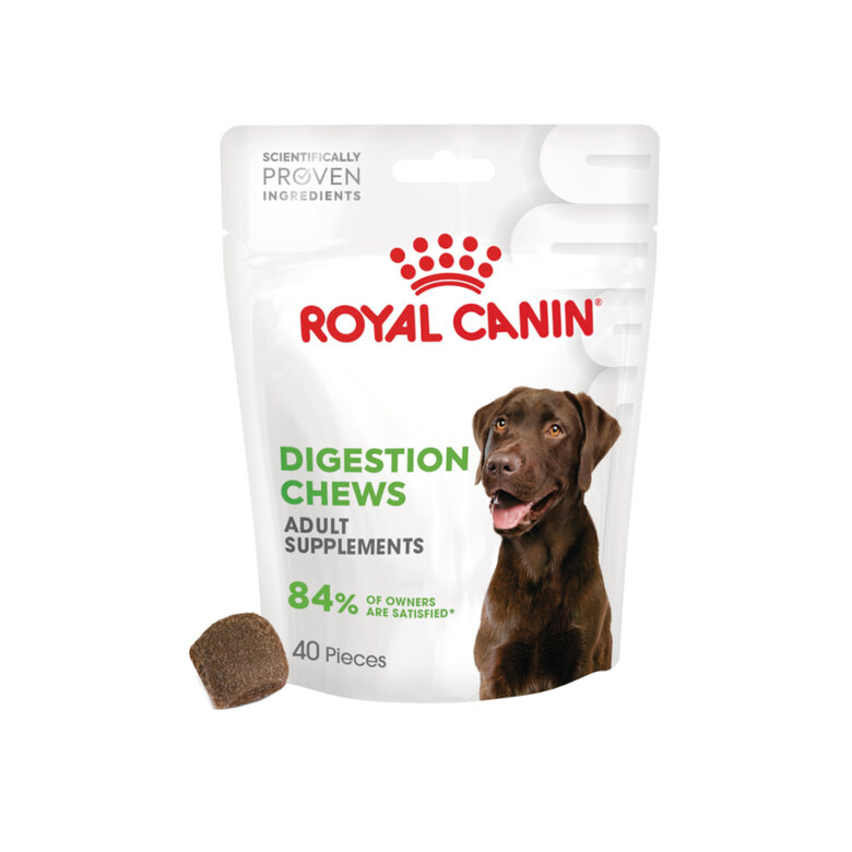 160 g Royal Canin Digestion Chews Suplemento Nutricional para cães com sensibilidade,  Imagem número 1 160 g Royal Canin Digestion Chews Suplemento Nutricional para cães com sensibilidade, , large Imagem número 1