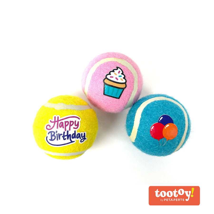 Tootoy! Comfort Happy Birthday Pack de bolas para c&atilde;es, , large Imagem n&uacute;mero 1