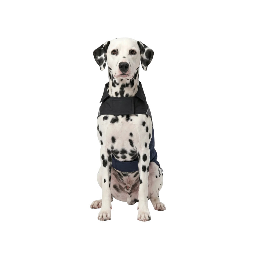 Gotoo Capa de Chuva Refletora Azul-Acinzentada para c&atilde;es, , large Imagem n&uacute;mero 7