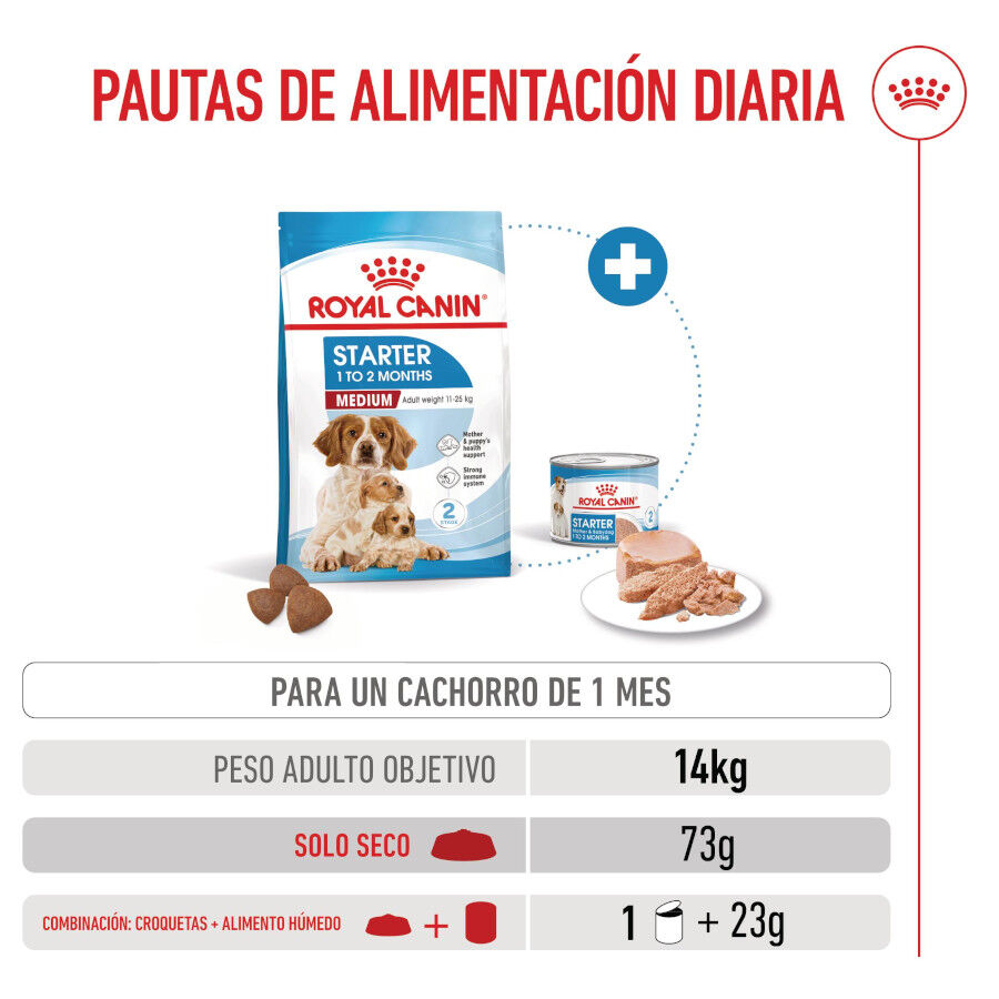 15 kg Royal Canin Medium Starter Mother&Baby ra&ccedil;&atilde;o para c&atilde;es, , large Imagem n&uacute;mero 7