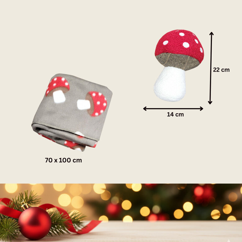 Wonder Christmas Conjunto Presente Peluche e Manta de Natal para Cães,  Imagem número 4 Wonder Christmas Conjunto Presente Peluche e Manta de Natal para Cães, , large Imagem número 4