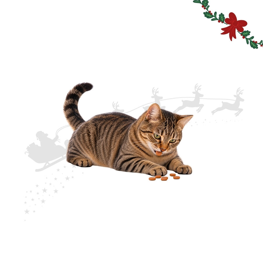 1 pacote Wonder Christmas Chips de Frango Snacks para gatos, , large Imagem n&uacute;mero 1