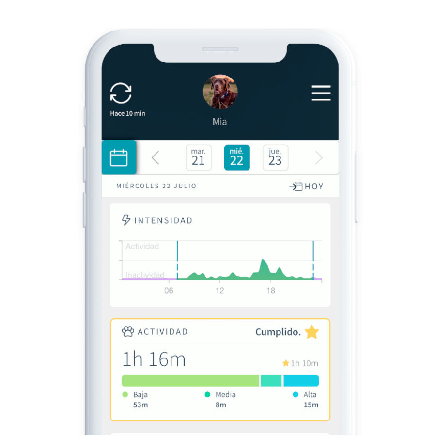 Sure Petcare Animo Monitor comportamental para c&atilde;es, , large Imagem n&uacute;mero 8