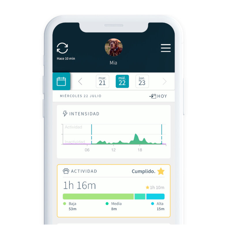 Sure Petcare Animo Activity Tracker and Behavior Monitor, Subscription Free, Monitor Pet Activity, Sleep Quality, Barking, Scratching & Shaking, Lightweight & Waterproof, 6 Months Battery