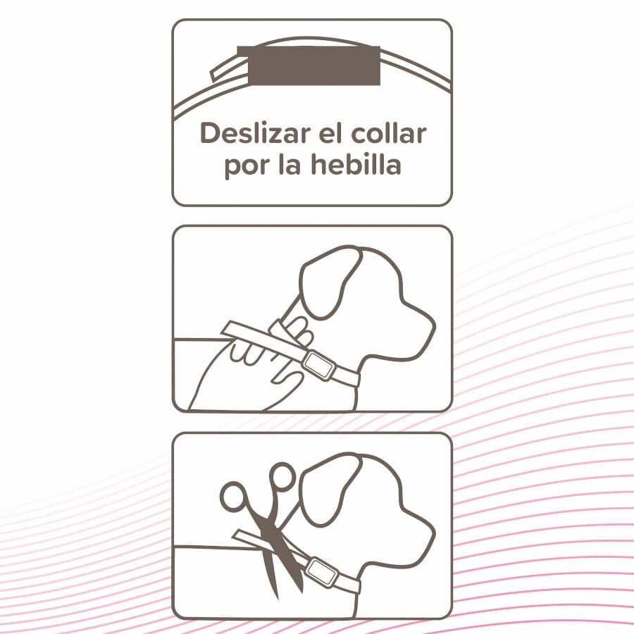 Beaphar CaniComfort Coleira Calmante 45cm para c&atilde;es , , large Imagem n&uacute;mero 4