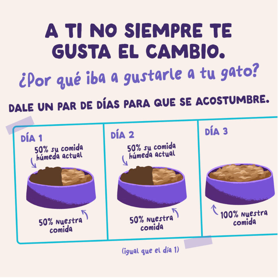 85 g Edgard & Cooper Comida h&uacute;mida de pato e peru em molho em saquetas para gatos, , large Imagem n&uacute;mero 9