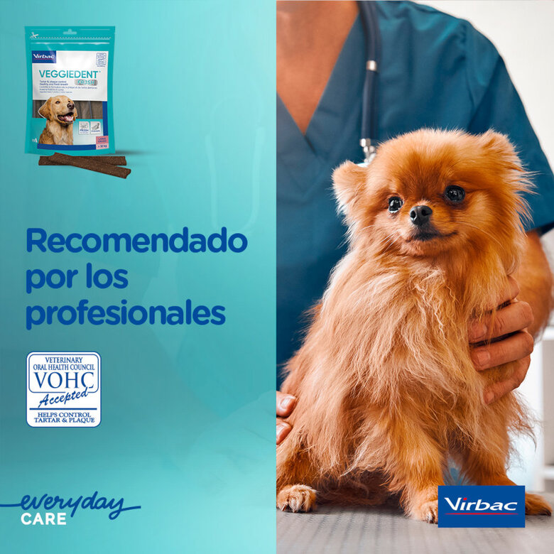 15 sticks Virbac Snacks Dentários Veggiedent Fresh para cães de raça grande,  Imagem número 9 15 sticks Virbac Snacks Dentários Veggiedent Fresh para cães de raça grande, , large Imagem número 9