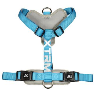 Nayeco X-TRM Cronos Neon Peitoral Azul para cães