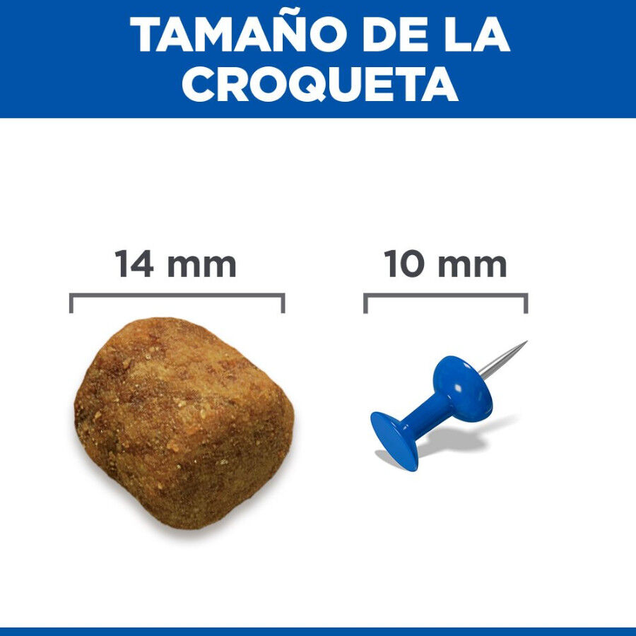 14 kg Hill's Science Plan Adult Large Cordeiro ra&ccedil;&atilde;o para c&atilde;es, , large Imagem n&uacute;mero 9