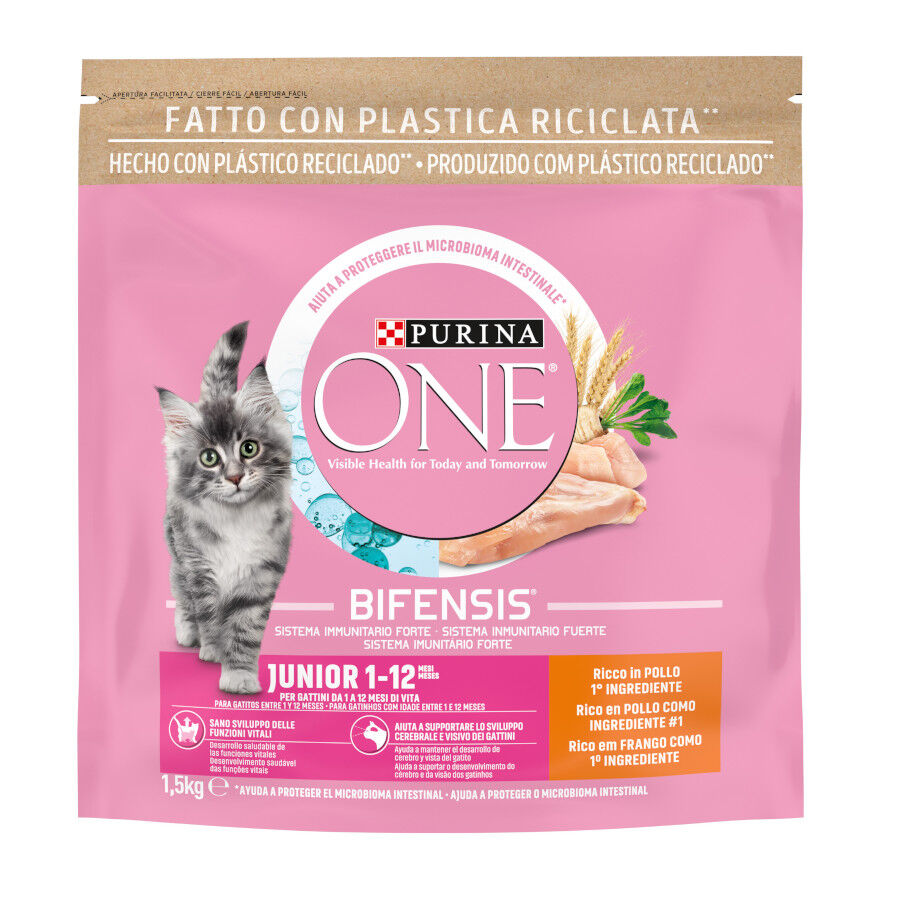 1.5 kg Purina One Junior Bifensis Frango ra&ccedil;&atilde;o para gatos , , large Imagem n&uacute;mero 1