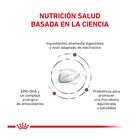 Royal Canin Veterinary Gastrointestinal ração para gatos , , large image number null