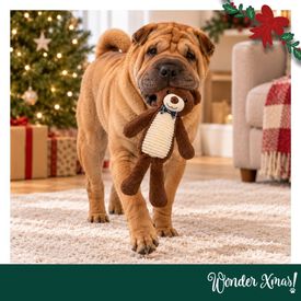 Wonder Christmas Amigo Urso XL Peluche para c&atilde;es