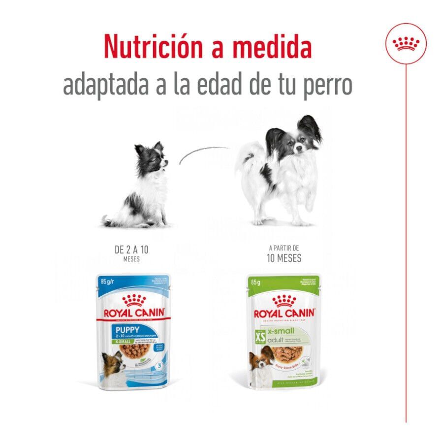 85 g Royal Canin X-Small Adult saquetas com molho para c&atilde;es, , large Imagem n&uacute;mero 6