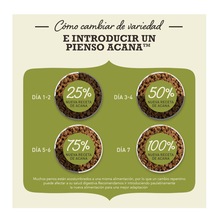 4.5 kg Acana Highest Protein Indoor Ra&ccedil;&atilde;o de frango, salm&atilde;o e truta para gatos, , large Imagem n&uacute;mero 4