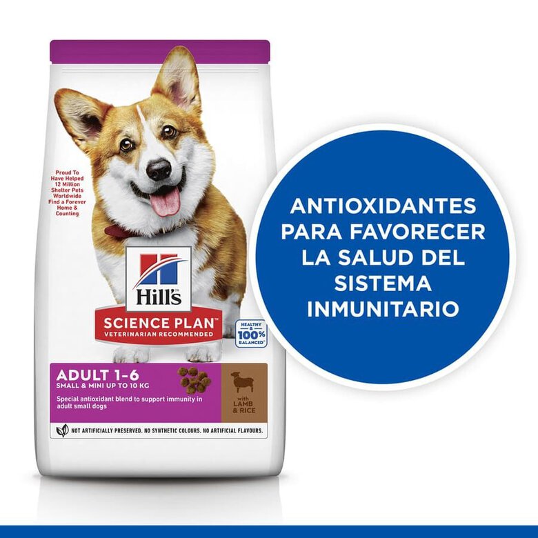 1.5 kg Hills Adult Small y Mini Science Plan Cordeiro ração para cães,  Imagem número 3 1.5 kg Hills Adult Small y Mini Science Plan Cordeiro ração para cães, , large Imagem número 3