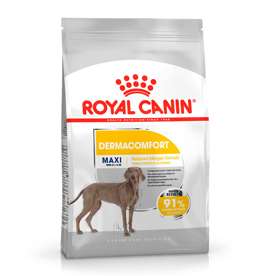 12 kg Royal Canin Maxi Dermacomfort ra&ccedil;&atilde;o para c&atilde;es, , large Imagem n&uacute;mero 1