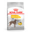 12 kg Royal Canin Maxi Dermacomfort ração para cães, , large Indicador imagem número 1
