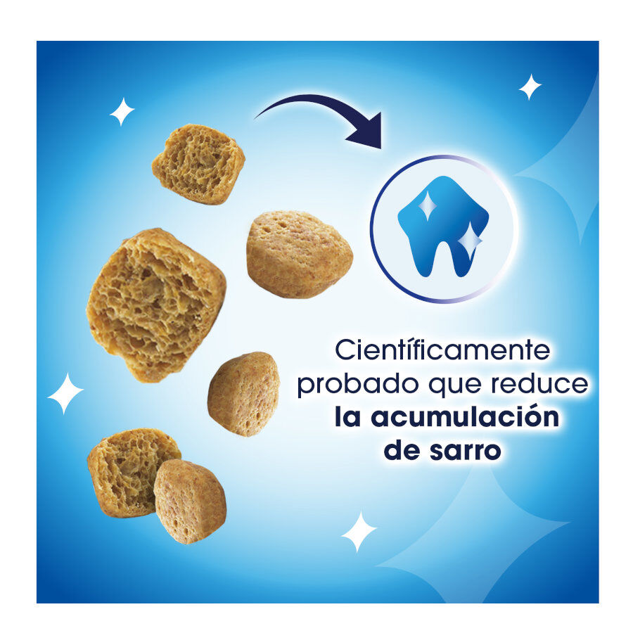 40 g Dentalife Snack Dent&aacute;rios Frango para gatos, , large Imagem n&uacute;mero 3