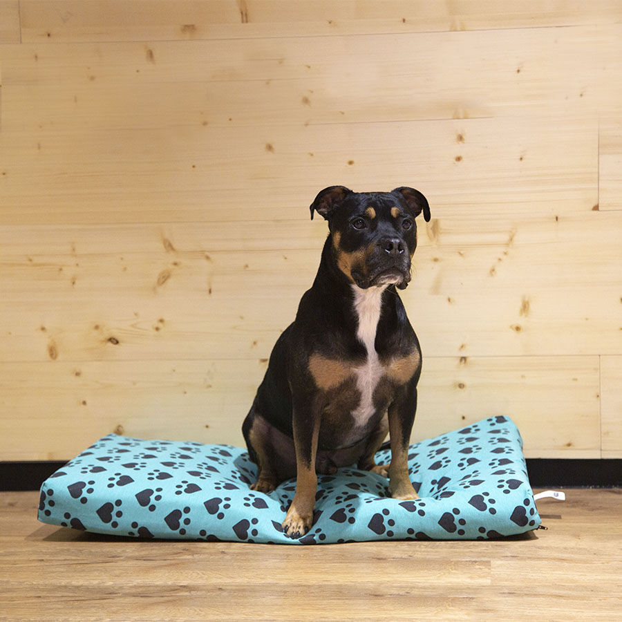 Dogzzz Capa de Colch&atilde;o para animais com Cora&ccedil;&otilde;es e Patas, , large Imagem n&uacute;mero 3