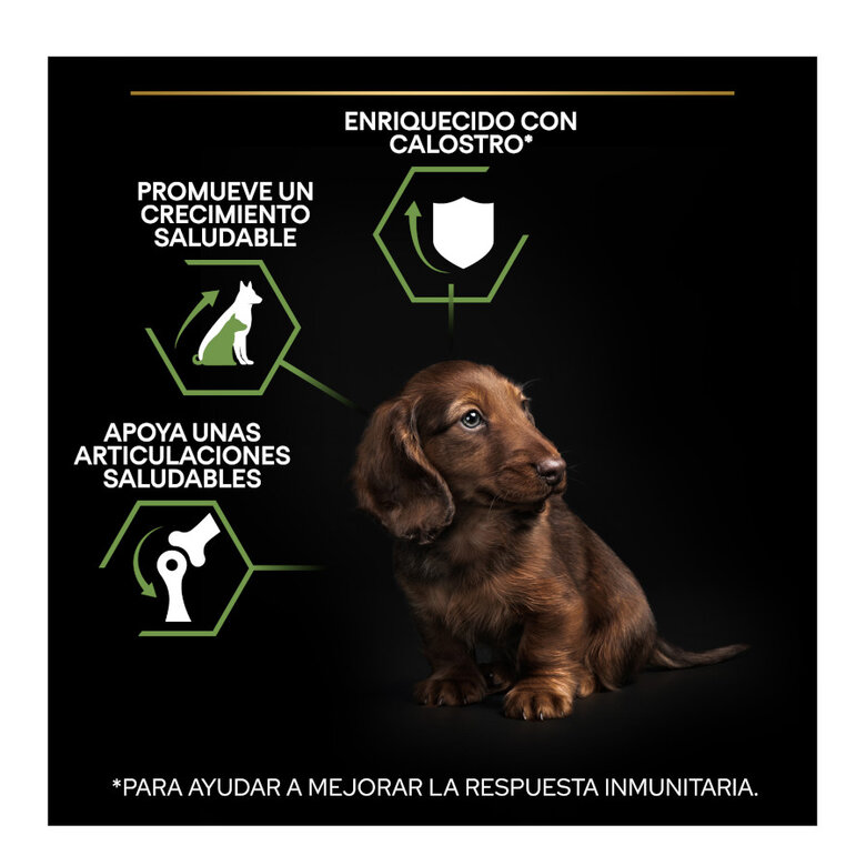 Pro Plan Puppy Small & Mini Healthy Start Frango ração, , large image number null