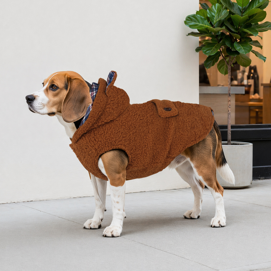 Gotoo Casaco Teddy Castanho para c&atilde;es, , large Imagem n&uacute;mero 1