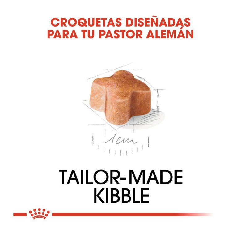 3 kg Royal Canin Puppy Pastor Alemão ração para cães,  Imagem número 5 3 kg Royal Canin Puppy Pastor Alemão ração para cães, , large Imagem número 5