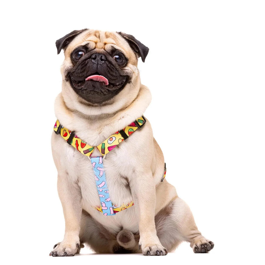 Dukier Sweets Peitoral Cl&aacute;ssico para c&atilde;es, , large Imagem n&uacute;mero 1