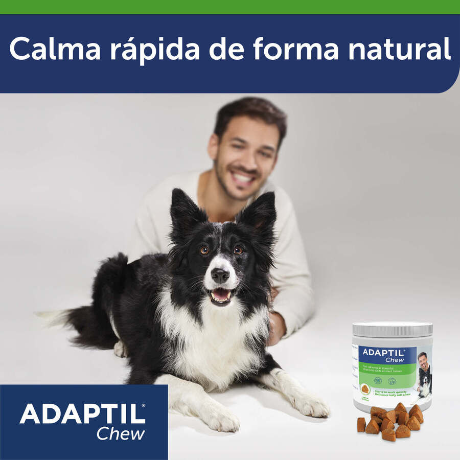 30 comprimidos Adaptil Chew Comprimidos Relaxantes para o stress ocasional dos c&atilde;es, , large Imagem n&uacute;mero 6