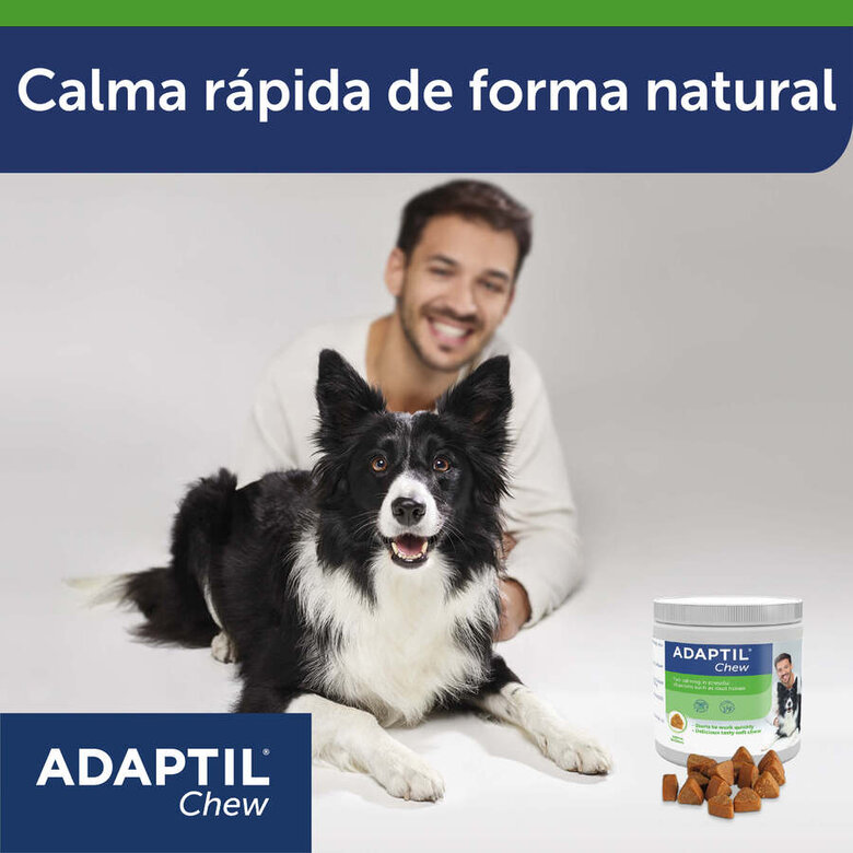30 comprimidos Adaptil Chew Comprimidos Relaxantes para o stress ocasional dos cães,  Imagem número 6 30 comprimidos Adaptil Chew Comprimidos Relaxantes para o stress ocasional dos cães, , large Imagem número 6