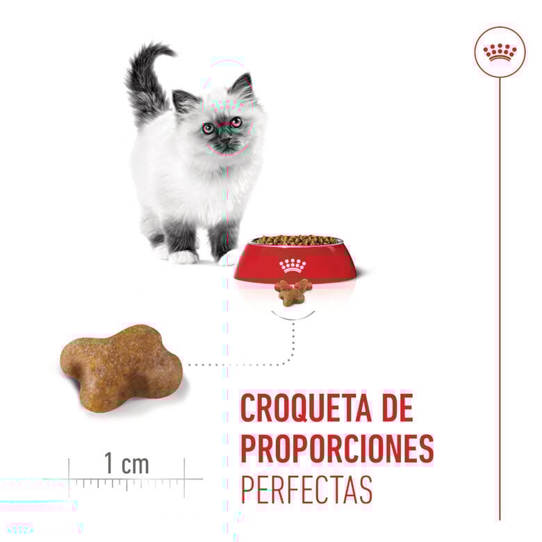 10 kg Royal Canin Kitten ração para gatos,  Imagem número 12 10 kg Royal Canin Kitten ração para gatos, , large Imagem número 12