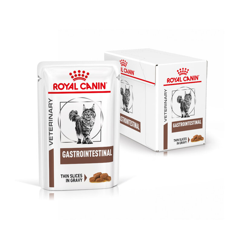Royal Canin Veterinary Gastrointestinal saqueta em molho para gatos, , large image number null