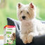 Beaphar desparasitante interno natural para cães, , large Indicador imagem número 7