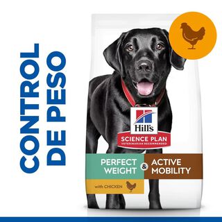 Hill's Science Plan Perfect Weight & Active Mobility frango ração para cães