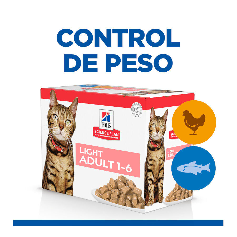 12 saquetas x 85 g Hill's Science Plan Light Adult Blue Fish and Chicken in Sauce sach&ecirc; para gatos, , large Imagem n&uacute;mero 2