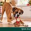 Wonder Christmas Macaco L&aacute;tex Brinquedo para c&atilde;es, , large Indicador imagem n&uacute;mero 2