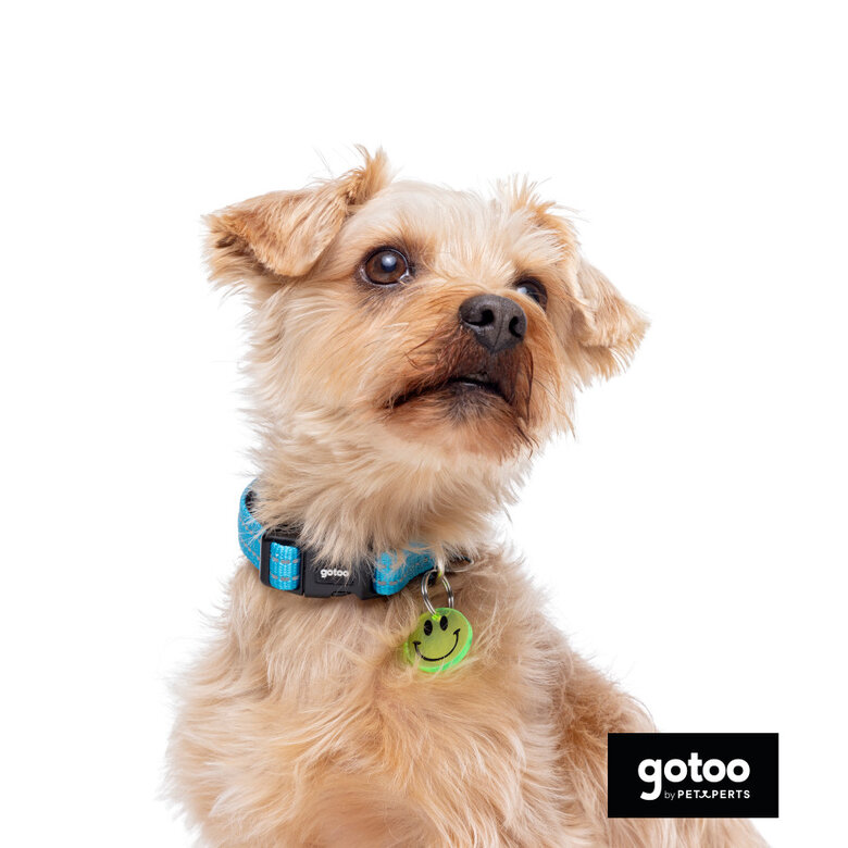 Gotoo Coleira reflexiva de nlyon azul para cães,  Imagem número 5 Gotoo Coleira reflexiva de nlyon azul para cães, , large Imagem número 5