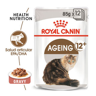 Royal Canin Ageing 12+ alimento húmido com molho em saquetas para gatos