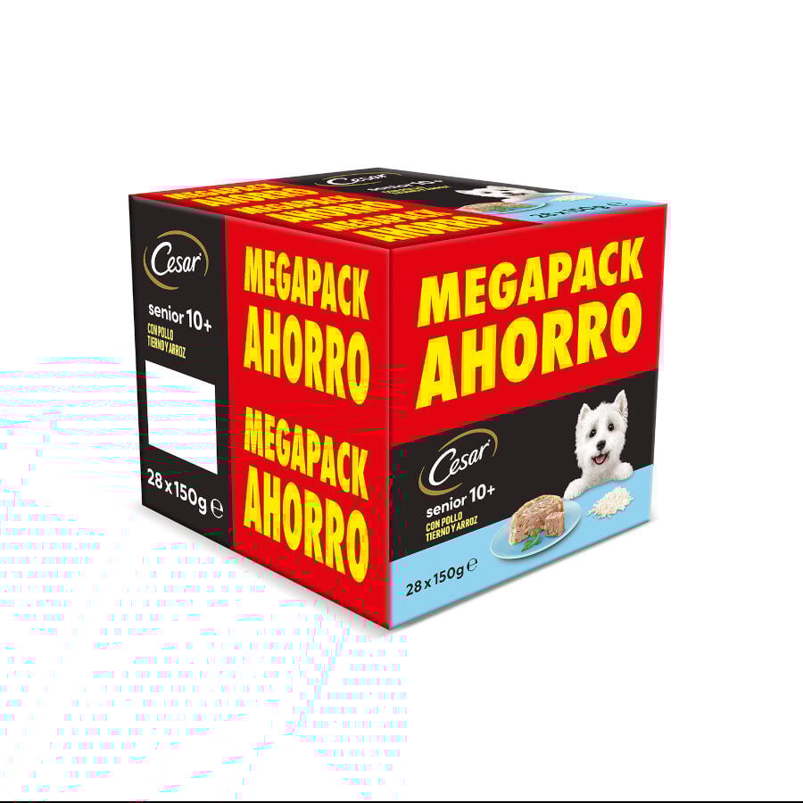 28 terrinas x 150 g (20 + 8 terrinas gr&aacute;tis!) Cesar Frango e Arroz Terrina em Geleia para C&atilde;es S&eacute;nior, , large Imagem n&uacute;mero 1