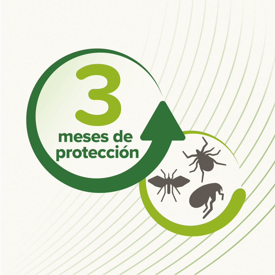 Beaphar Bio Band Coleira repelente para c&atilde;es, , large Imagem n&uacute;mero 3