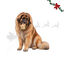 1 un. Wonder Christmas Luva de Couro Prensado Snacks para C&atilde;es, , large Indicador imagem n&uacute;mero 1
